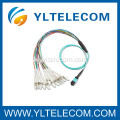 2,0 mm OM3 Fiber Optic Patchkabel 4 / 8 / 12 / 24 Faser MPO